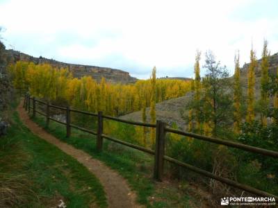 Hoces Río Duratón-Sepúlveda; parque nacional de monfrague bosque de irati la bola del mundo